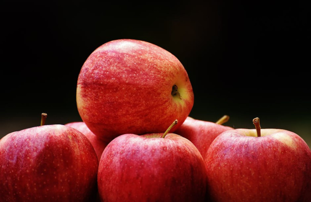 Wat is het spreekwoord 'De appel valt niet ver van de boom' en wat betekent het?